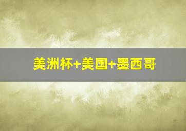 美洲杯 美国 墨西哥